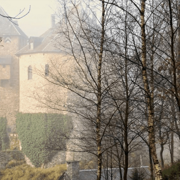 Image22